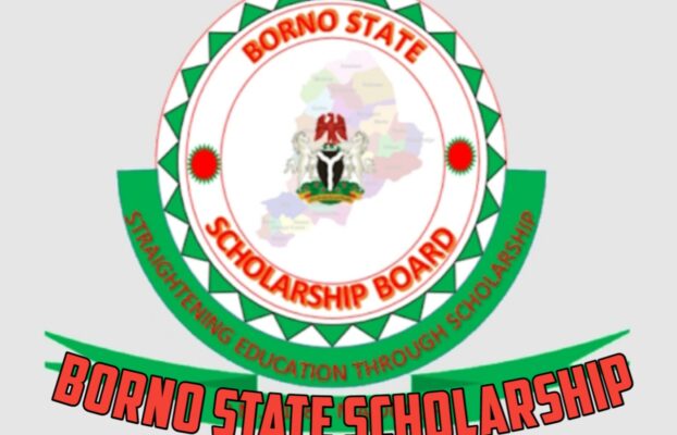 Unlocking Borno State Scholarships: All you need to know about Borno state scholarship 2024